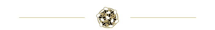 separator logo